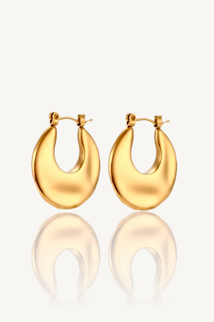 Disc Hoop Earrings