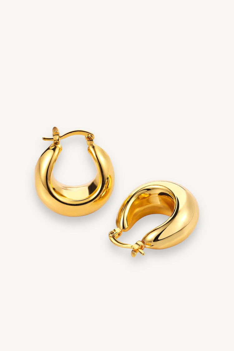 Audrey Thick Hoops Earrings