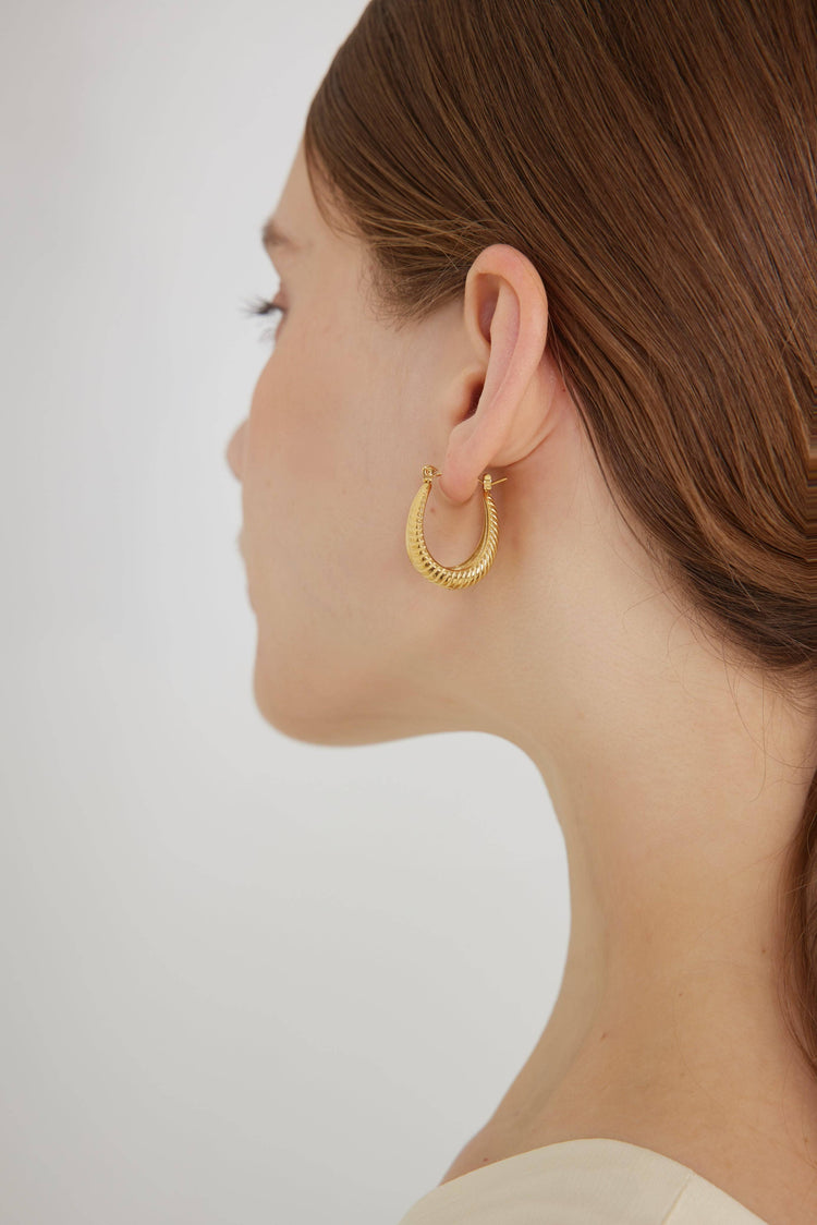 Chunky Oval Hoops